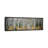 Aspen Trees In A Forest Alberta, Canada by Panoramic Images - Wrapped Canvas Panoramic Print-223938801-167546753