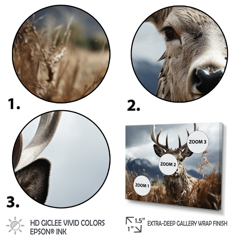 Photographie de cerf monochrome III - animaux, H 34 po x l 44 po x P 1,5 po, Cadre naturel flottant