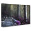 Path Through A Forest In Vancouver - Wrapped Canvas Painting-55366622