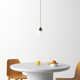 Demetra Single Light Glass Dimmable LED Pendant