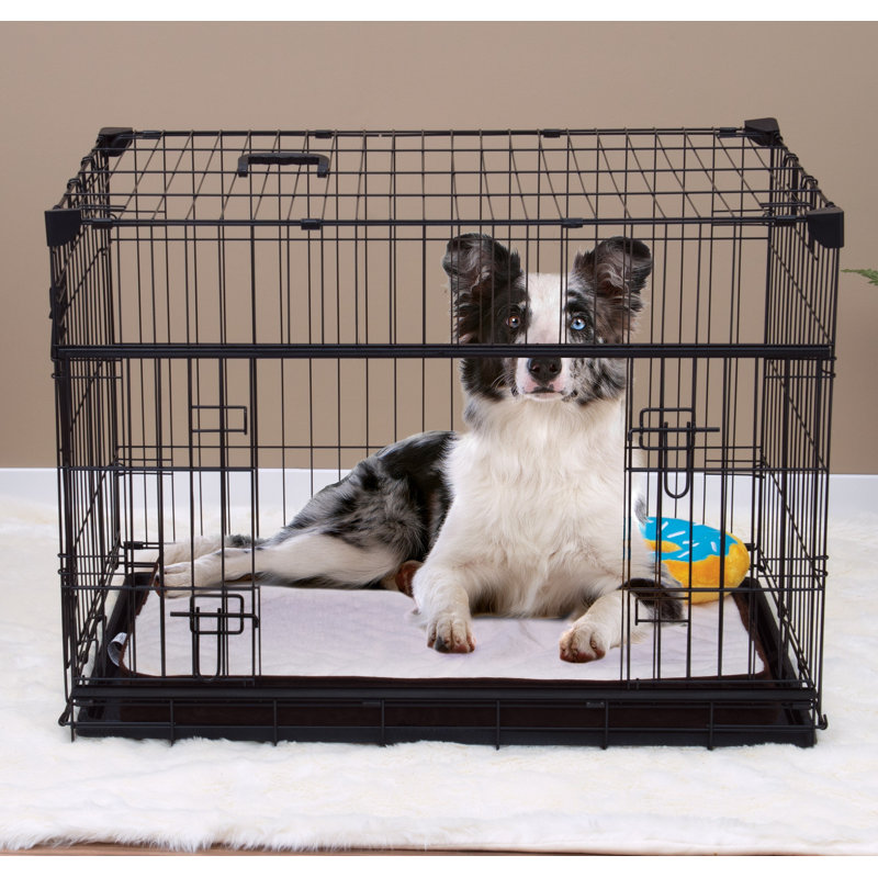 Extra Small Black Wire Double Door Dog Crate