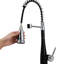 Belfry Kitchen Carmorn Pull Out Kitchen Faucet-451903255