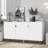 Meggin Accent Cabinet-1598121299