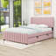 Lit plateforme tapissier avec lit gigogne-129915136