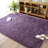 Shahen Rectangle Shag Area Rug-784099184-738442617