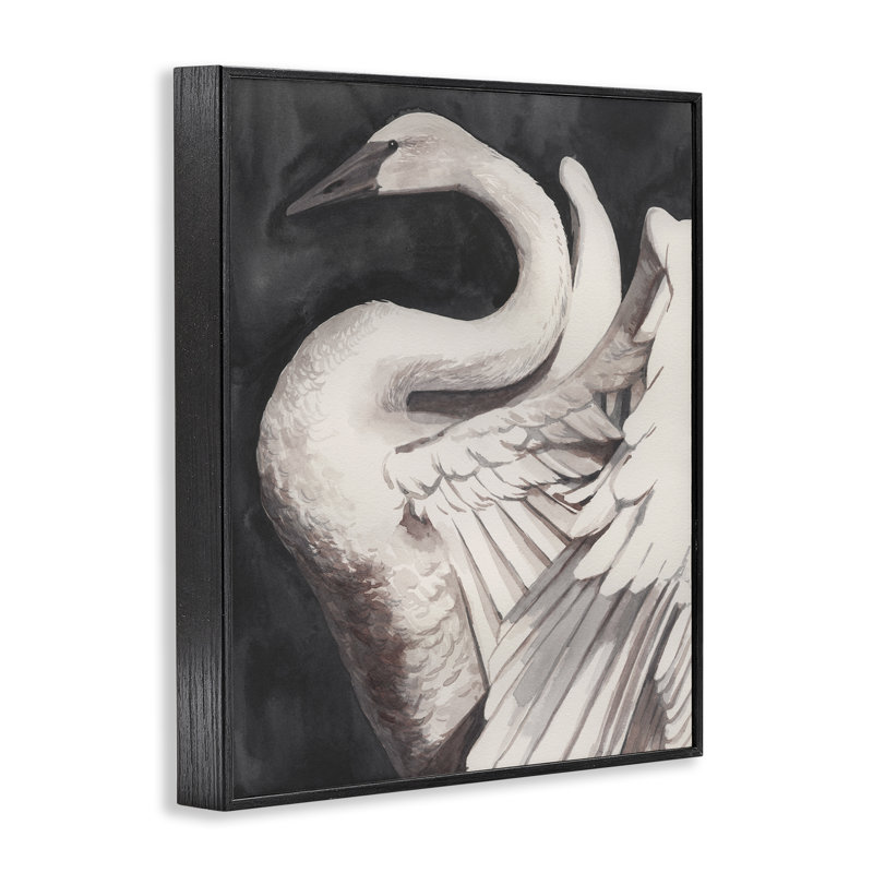  Swan Spread Wings, art de la giclée encadrée par Grace Popp, H 14 po x l 11 po, Giclée encadrée noir minuit
