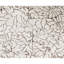 Hand-Knotted High-Quality Ivory Area Rug