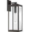 Lanterne murale d'extérieur en acier inoxydable à 1 lumière Westover-1198012173-1198012172