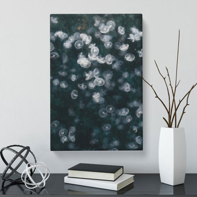 Jellyfish Vol.4 - Wrapped Canvas