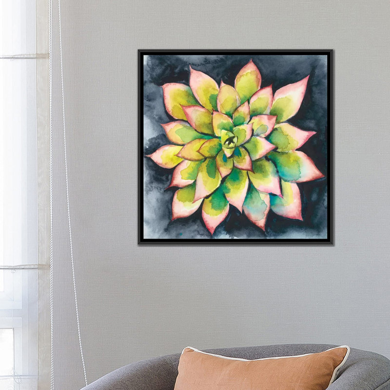 « succulent rosette iv », impression sur toile, H 12 po x l 12 po x P 0,75 po, Toile tendue, Pas de tapis