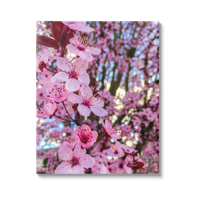 «Spring Cherry Blossom Tree Nature Floater» par Heidi Bannon, H 48 po x l 36 po x P 1,5 po, Toile tendue