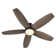 Emeris 52'' DC Motor Ceiling Fan with a LED Light and Remote control