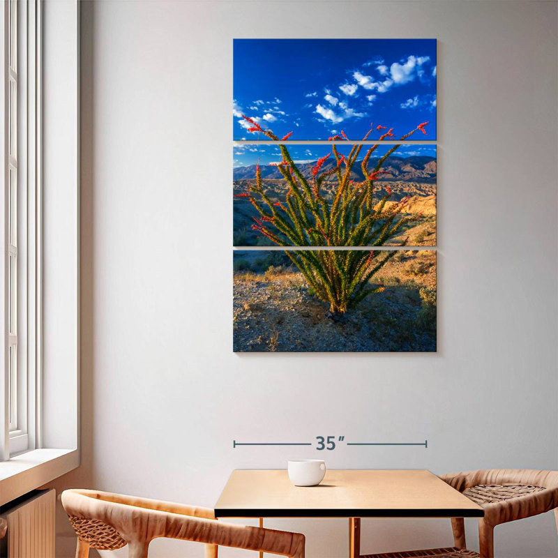 Harnek Ocotillo In Anza Borrego, 65" H x 42" W