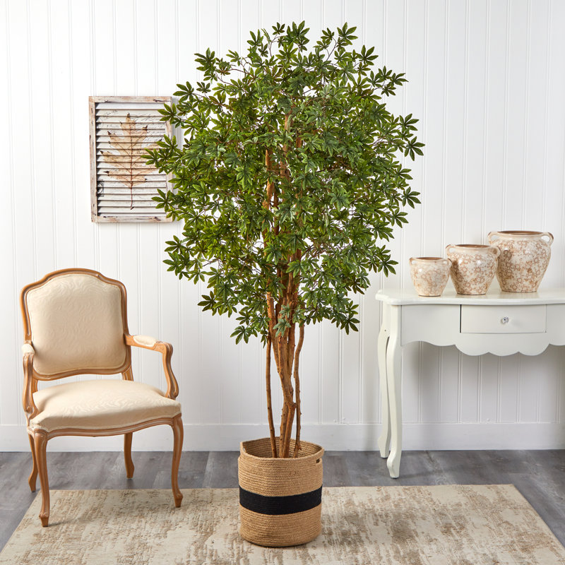 72'' Faux Maple Tree in Burlap, Cotton Planter