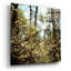 «Spring» par Kelly Sinclair-101627359