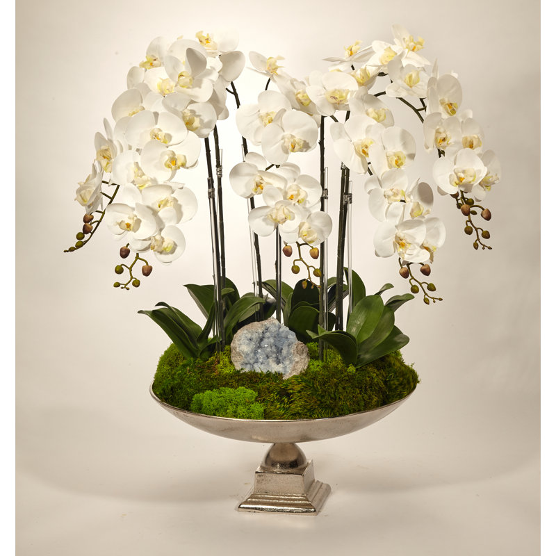 Orchid Silk Orchid Arrangement