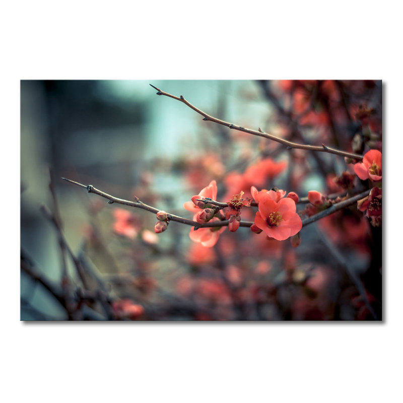 Wrapped Canvas Print, 80cm H x 120cm W x 2cm D