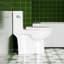 Toilette monobloc 1,28 po, forme allongée permettant d'économiser l'eau, siège à hauteur confortable, couvercle à fermeture en douceur, chasse d'eau 1000 grammes, blanc brillant 003S, fixation au sol pour salle de bain,