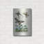 «Papillons - Parnassie» par August Licensing Studio