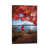 Wrapped Canvas