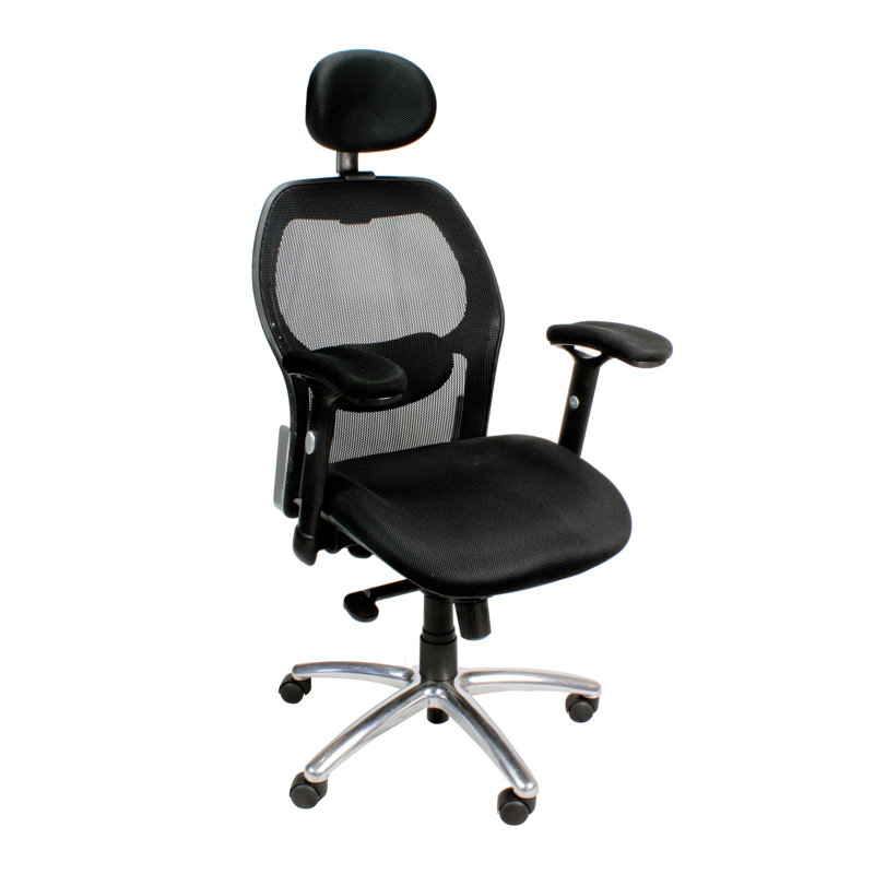 Tamia Office Chair with Headrest