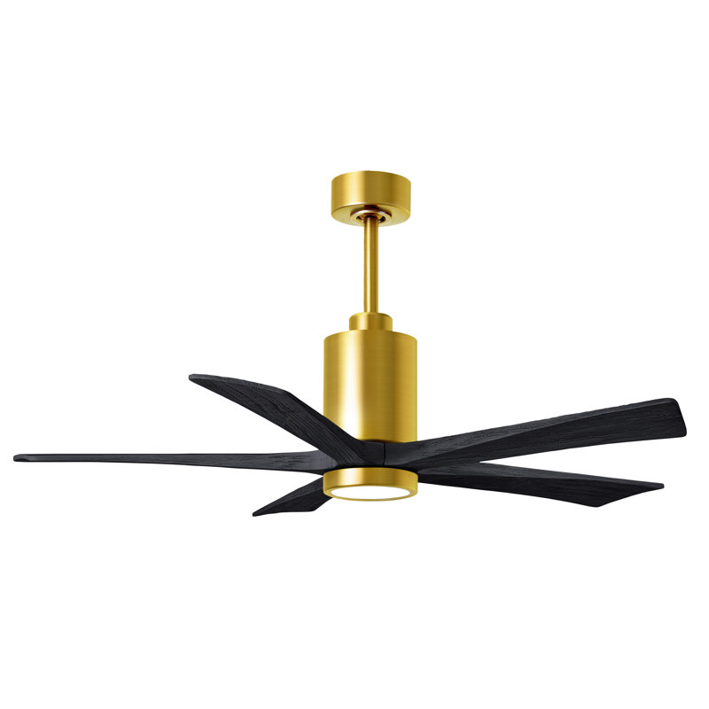 Patricia LED Downrod Ceiling Fan, Matte Black, Brushed Brass