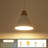 Hinsinger 9.4“ Wide Single Cone Kitchen Island Pendant Light with Wood Accents-967346903-1003089392