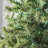 606'' String Lights-31889553