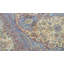 Tabriz One-of-a-Kind 7'10" X 9'10" Area Rug