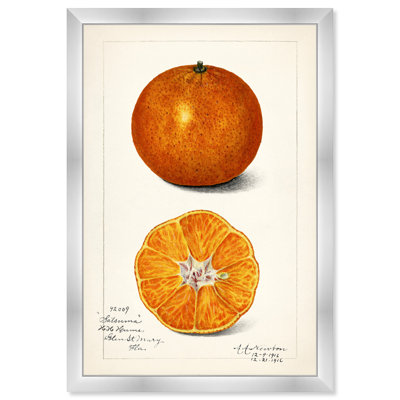 " Still Life " by Oliver Gal