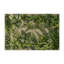 Tapis d'intérieur et d'extérieur vert Nature-1165619029