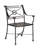 Metal Outdoor Dining Armchair Sunbrella®-904006447