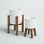 Wadlington Ceramic Pot Planter