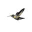 Radioactive Hummingbird I Painting by Elena Carlie-26931435-26931436