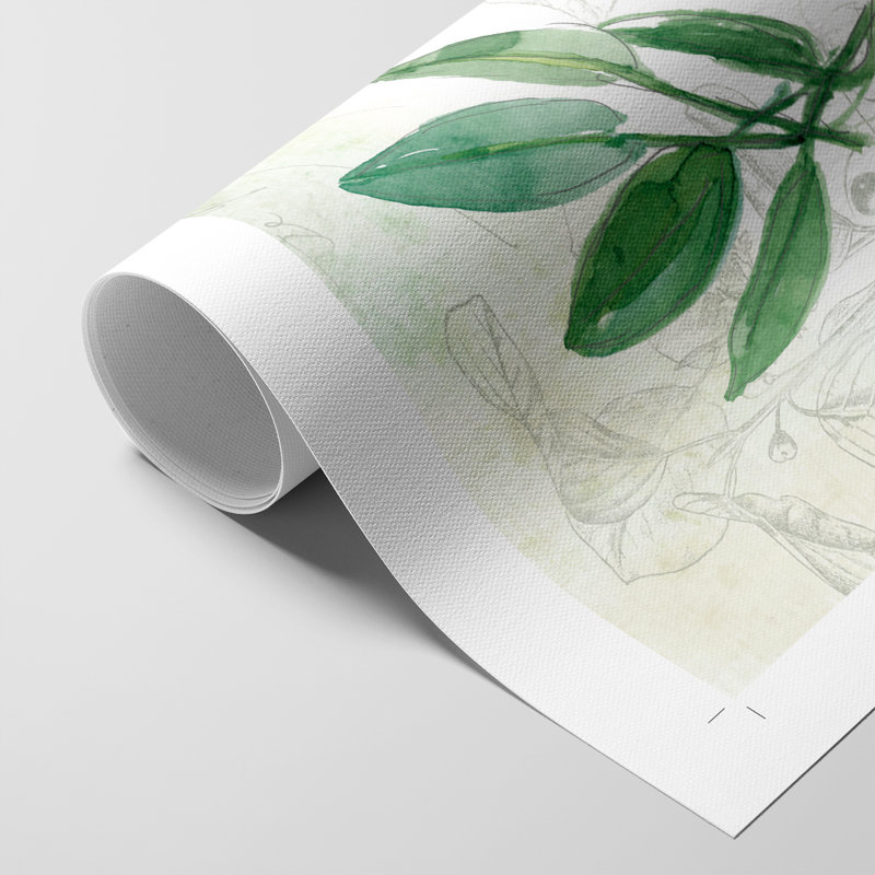 Fresh Herbs II - Impression sur toile seulement - NON-CADRE, H 18 po x l 12 po