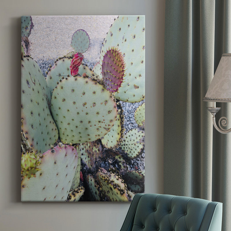 Cactus rose vert II - photographie sur toile tendue, H 36 po x l 24 po x P 1,5 po