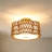 13.6''(W) Boho 3 - Light Semi Flush Mount Ceiling Light