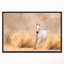Arabian Horse in Desert Storm - impression d'art graphique-26663361-35120658