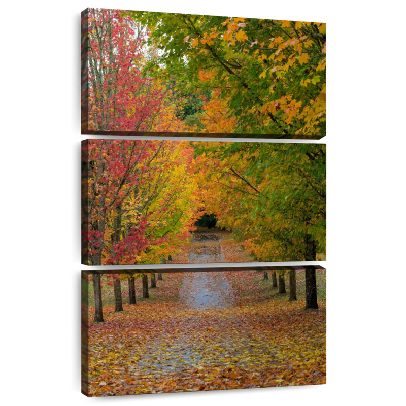 Harnek Path Of Maple Trees, 32" H x 20" W