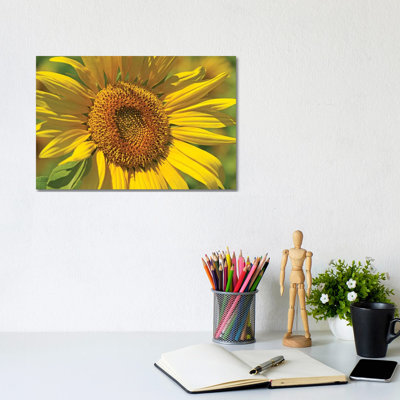 Golden Sunflower by Brian Wolf - Wrapped Canvas Rectangle Print