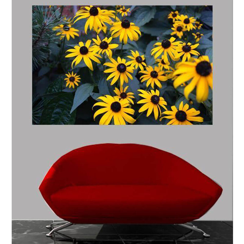 Décalcomanie murale paquet de marguerites, 16 po x 24 po