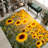 Chic and Modern With Pile Soft Printed Rug Featuring Abstract Swirls in Earthy Tones for a Sophisticated Touch in Any Living Room or Bedroom Setting-2129484918