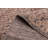 Tangier Tan Rug 8'3" x 10'1"
