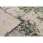 Mohit Wool Area Rug