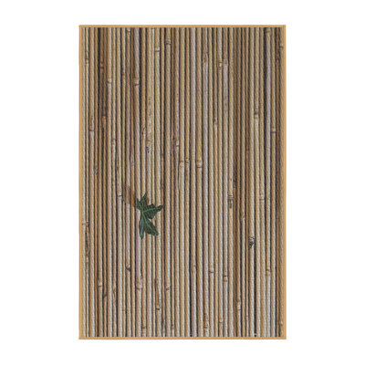 Indoor Rug
