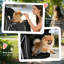 Foldable Pet-126108410