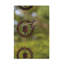 Art sur toile «Colibri»-105644802