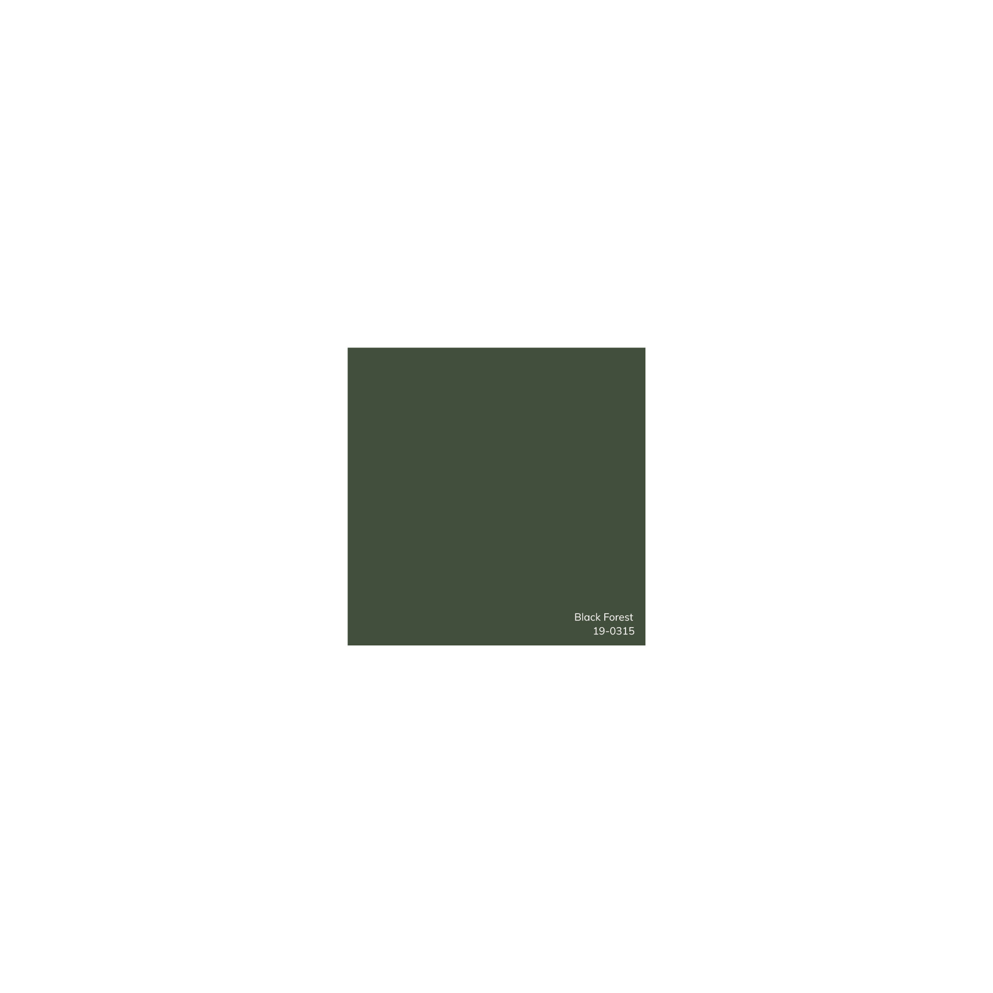 Edgar 100% Cotton Throw Pillow, Down, Dark Green, 18"H x 18"W