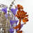 Real Preserved Mixed Bouquets Mix 7 Small - Med - Large-917214239