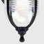 Springvale Black/Transparent Outdoor Wall Lantern